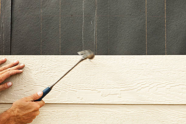 Best Storm Damage Siding Repair  in Oak Grove, MS